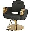 Buy-Rite Venus Gold All Purpose Reclining Styling Chair for Professional Salons with Brushed Gold Armrests, Matching Gold Hydraulic Base & Pump, Intricate Stitch Pattern, YLG-375A
