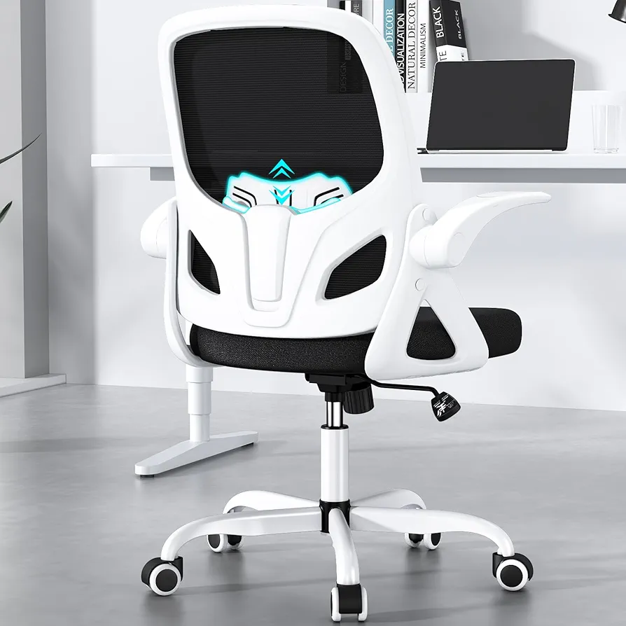 Home Desk Chair with Back Supportive Lumbar Support, Breathable Double Mesh Cushion Home Desk Office Chair with Flip up Arms, Modern Ergonomic Home Desk Office Chair for Home and Work(White)