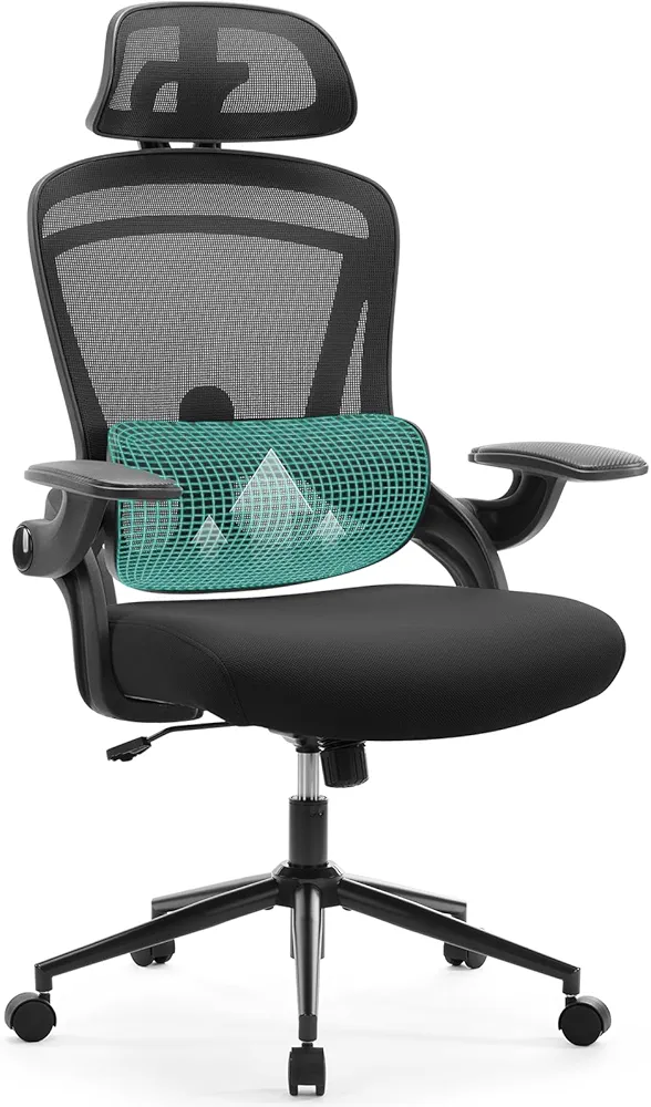 Ergonomic Mesh Office Chair, High Back Desk Chair with 2D Headrest, Up&Down Lumbar Support, Swivel Computer Task Chair with Adjustable Flip-up Armrests,Black